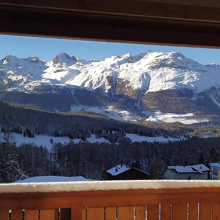 Chesa Delfin Apartment Pontresina Exterior photo