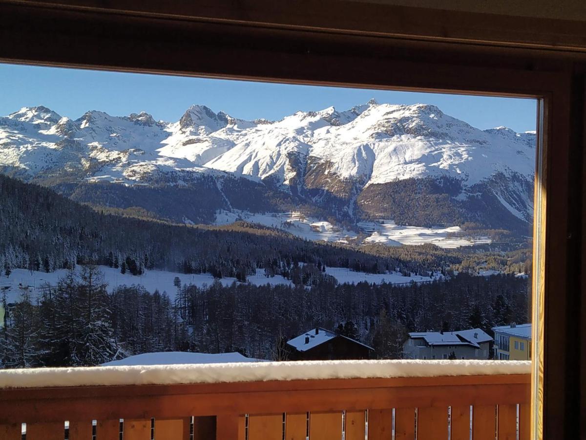 Chesa Delfin Apartment Pontresina Exterior photo