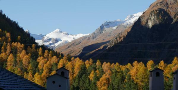 Chesa Delfin Apartment Pontresina Exterior photo